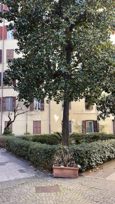 Casa Oliva Apartamento *