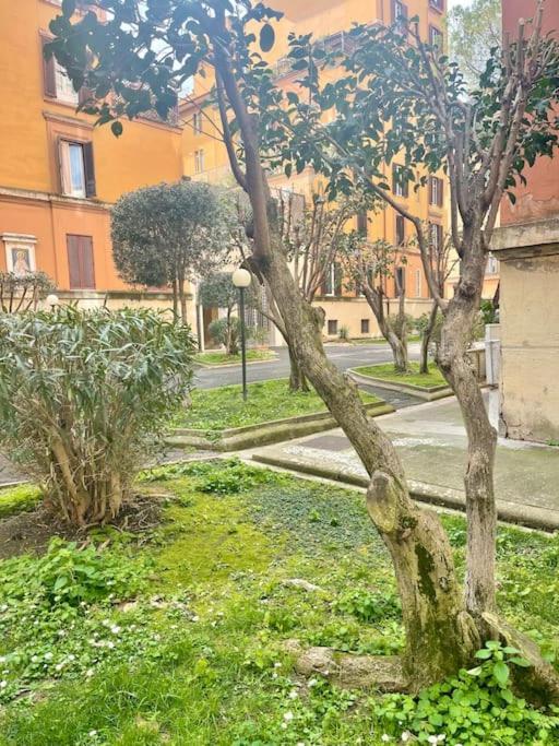 Casa Oliva Apartamento Roma
